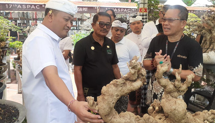 Gianyar Tuan Rumah ASPAC 2025, Pamerkan 500 Bonsai Terbaik se-Asia Pasifik