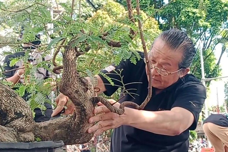 Enam Jawara Bonsai Dunia Berbagi Ilmu dan Teknik di Ajang ASPAC Gianyar 2025