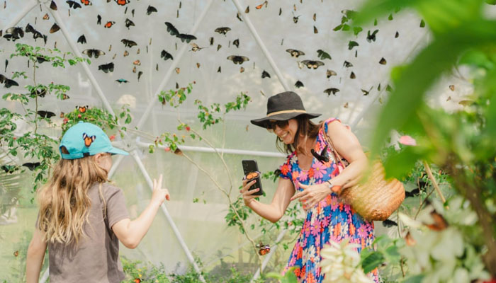Nuanu Creative City Lepasliarkan 5.000 Kupu-Kupu Asli Bali untuk Pulihkan Ekosistem